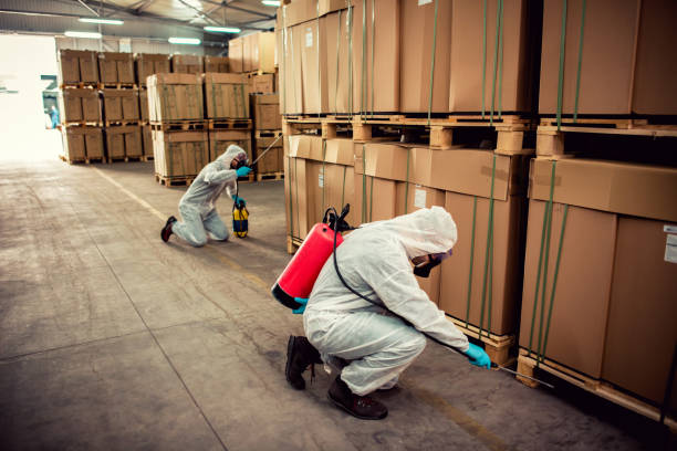Best Pest Control Cost  in Sandy Springs, GA