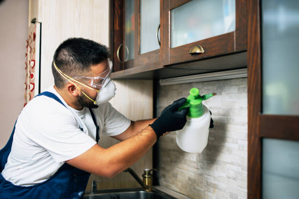 Best Wildlife Control Services  in Sandy Springs, GA