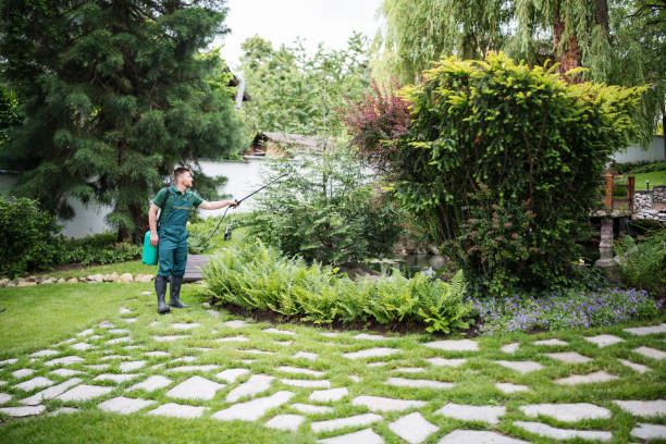 Best Affordable Pest Control Services  in Sandy Springs, GA