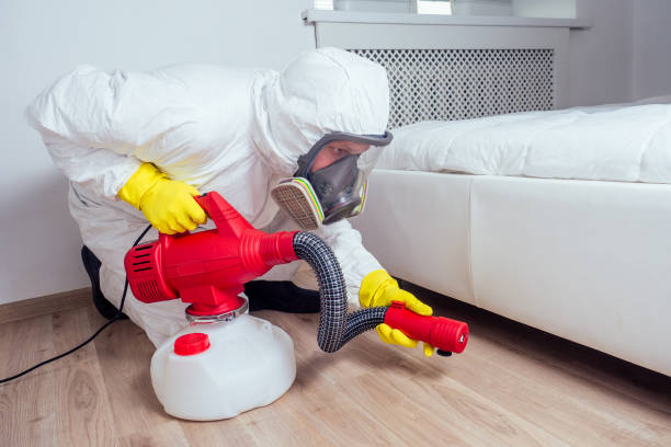 Best Best Pest Control Companies  in Sandy Springs, GA