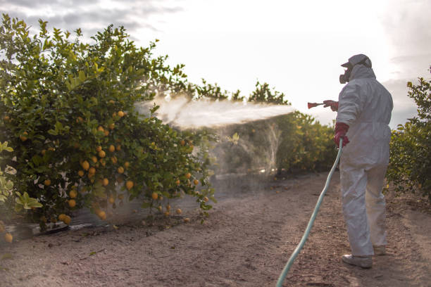 Best Residential Pest Control  in Sandy Springs, GA