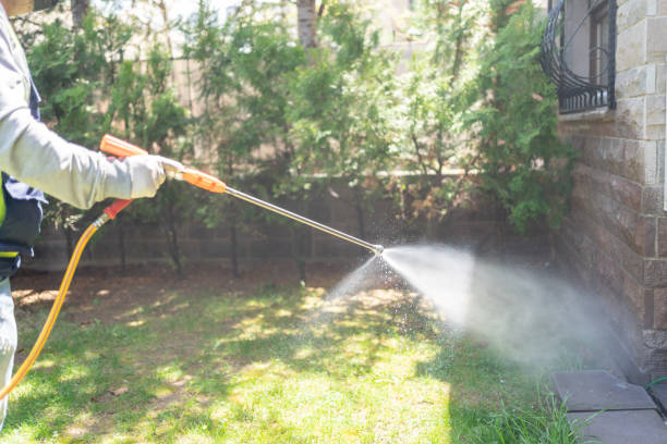 Best Termite Control Services  in Sandy Springs, GA