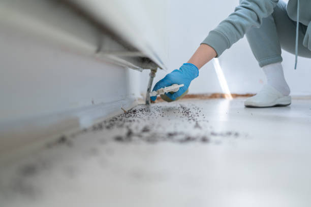 Best Emergency Pest Control  in Sandy Springs, GA
