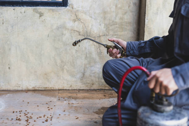 Best Pest Removal Services  in Sandy Springs, GA