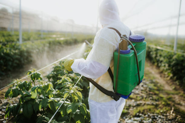 Reliable Sandy Springs, GA Pest Control Solutions